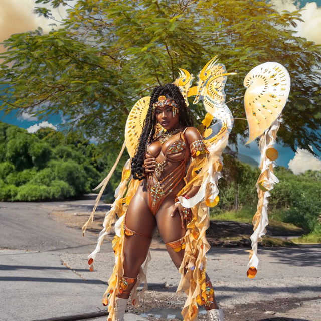 Barbados Crop Over 2026 – All-Inclusive Carnival Experience